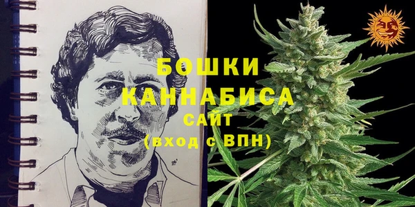 спайс Баксан
