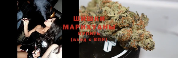 спайс Баксан