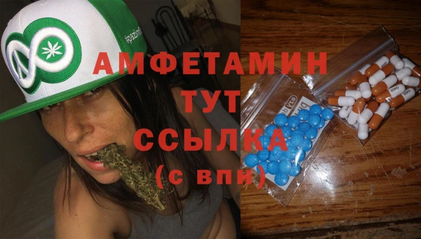 сатива Балахна