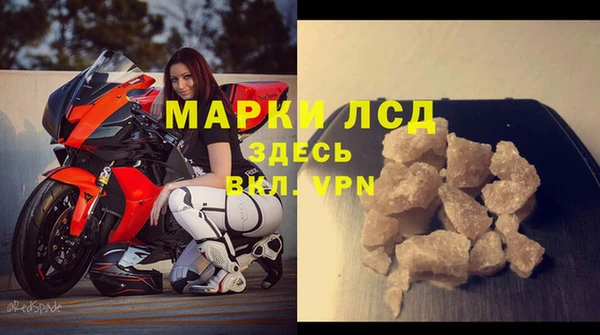 сатива Балахна