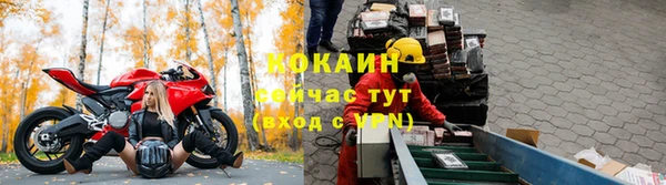 сатива Балахна