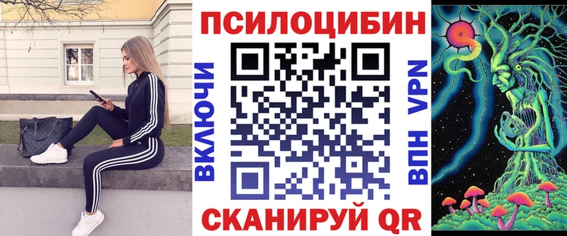 блэк спрут ссылка  Кондопога  Галлюциногенные грибы MAGIC MUSHROOMS  купить  цена 